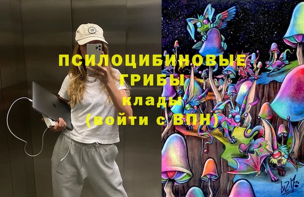 прущие крисы Алексеевка