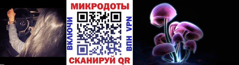 Галлюциногенные грибы Psilocybe  mega как зайти  маркетплейс Telegram  где найти   Дюртюли 